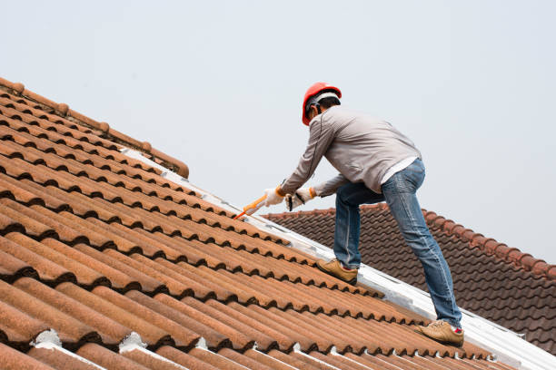 Best Roof Insulation Installation  in Lakeside, VA